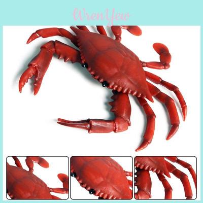 Krab Mořští živočichové Plastikový model Dětská vzdělávací hračka Pro učení mořské biologie