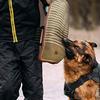 Köpek – Köpek oyuncakları