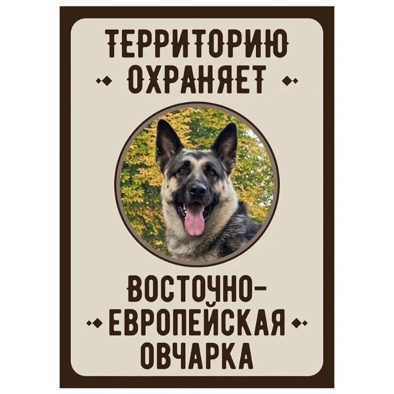 Cartello in Metallo Attenzione Cane Malvagio, Targa per Cancello/Porta 18x25cm
