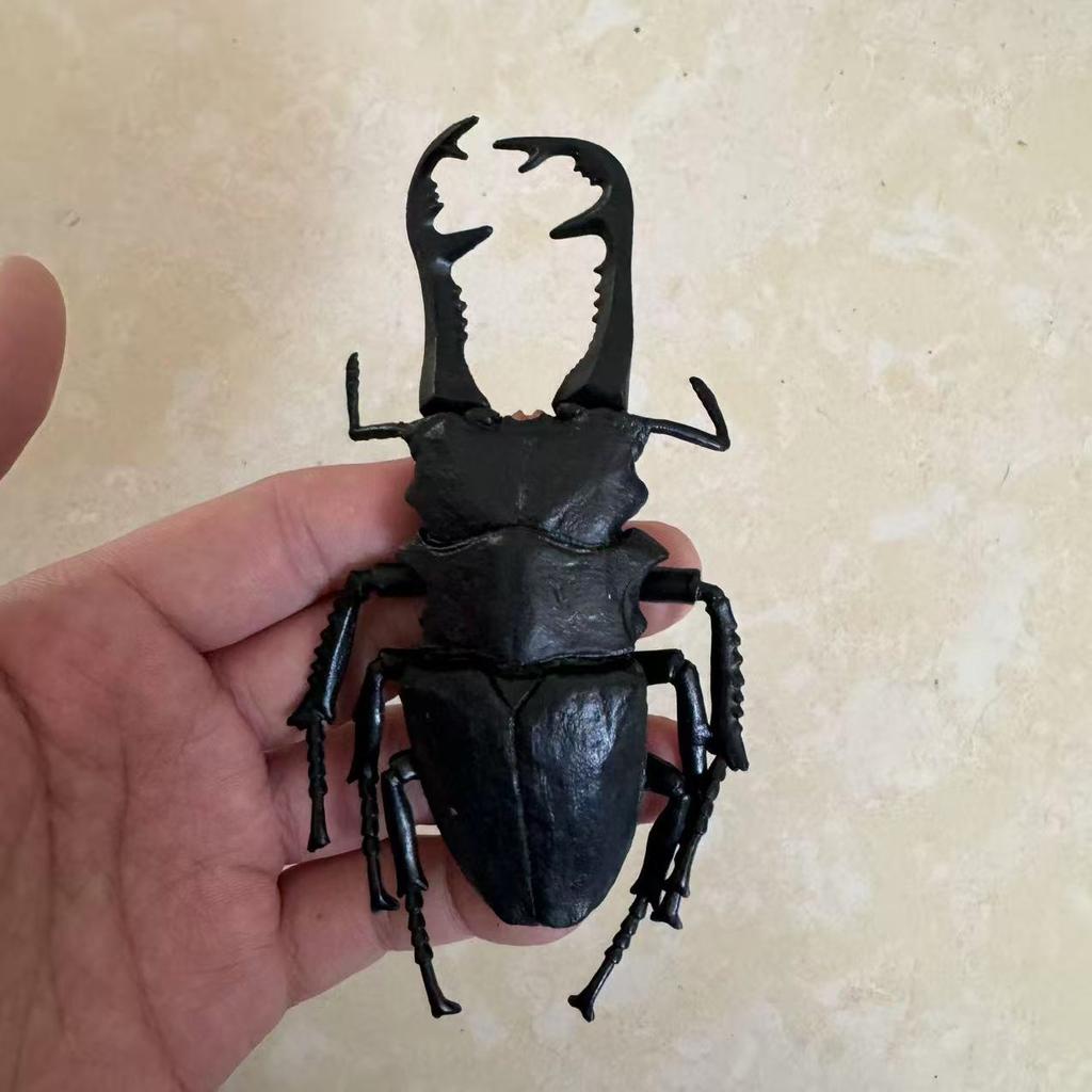 Biographical Analysis of Deer Antler Beetle plus Claw Shaped Insect Beetle Gacha Simulation Animal Movable Joints Figure Playthings