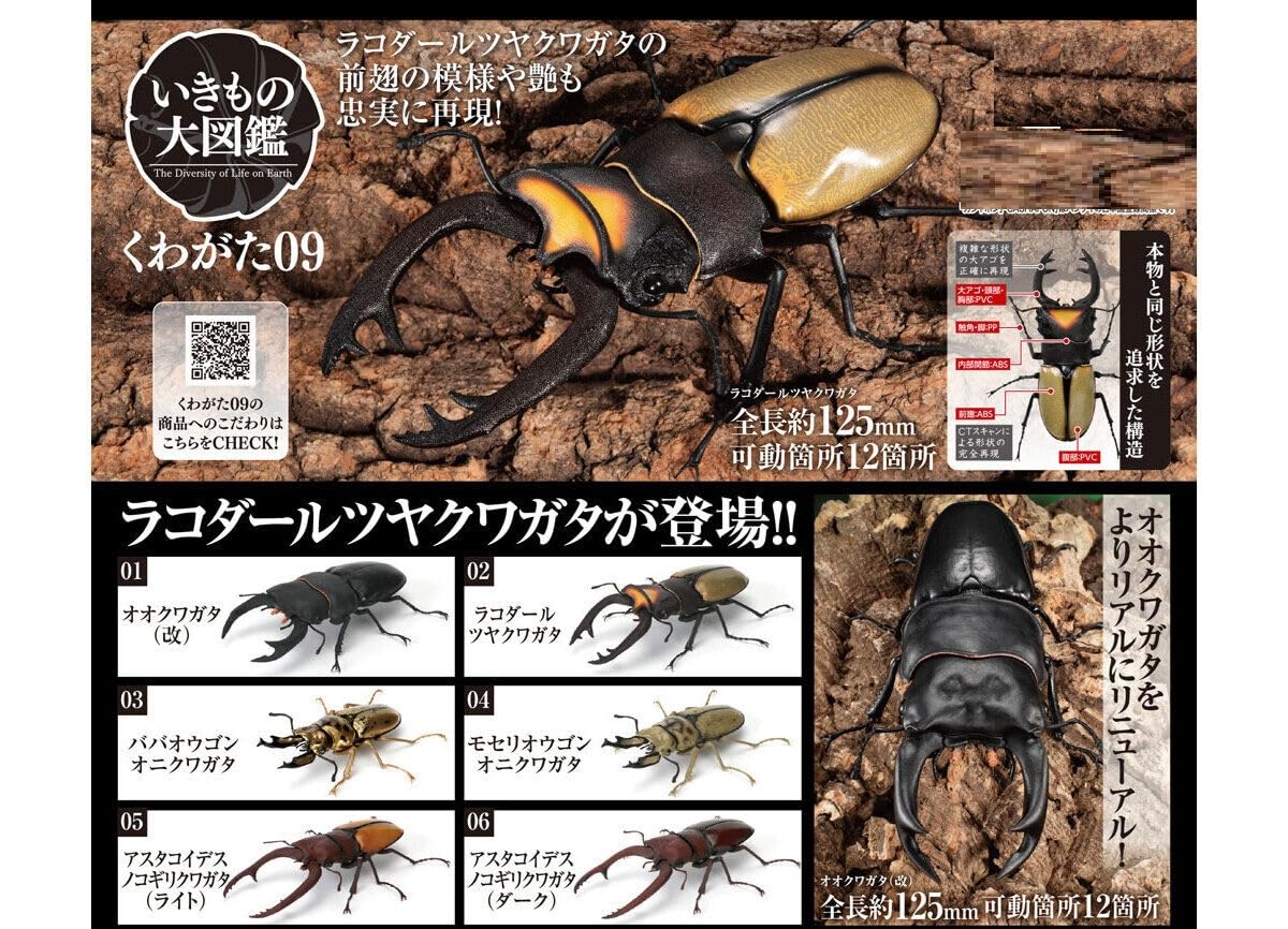 

Creature Encyclopedia Kuwagata 09 of 6 types Gacha Gacha Capsule Toy [Set (Full Complete)]