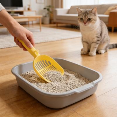 Katzenklo-Schaufel Haustier-Reinigungswerkzeug Große perforierte Schaufel für Klump- & Nicht-Klump-Streu Mehrgrößen-Lochstreuer Kunststoff-Katzenstreu-Reiniger