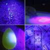 UV LED Flashlight Portable Blacklight 395nm Wavelength Violet Light Pet Urine Scorpion Feminine Hygiene Detector Torch