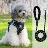 Vest-Style Harness and Leash Set for Small Dogs: Bichon, Teddy, Pomeranian