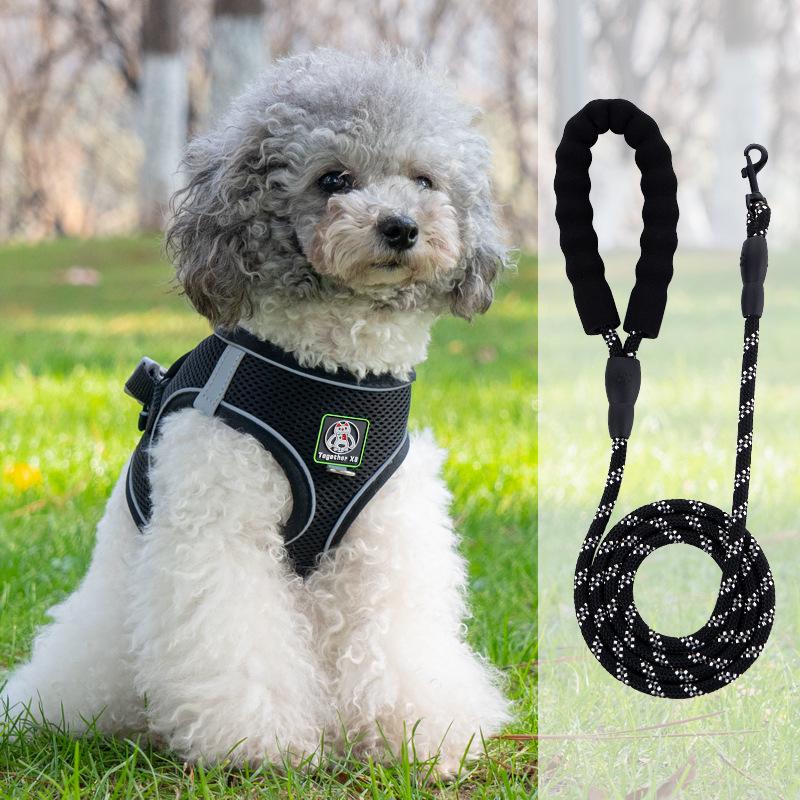 Vest-Style Harness and Leash Set for Small Dogs: Bichon, Teddy, Pomeranian