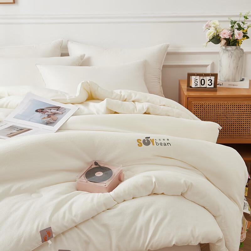 Cloud Velvet Warm Winter Fiber Quilt