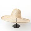 European and American Spring and Summer New Hollow Woven Sisal Dome Big Brim Straw Hat Women's Sun Hat Outdoor Sun Protection Beach Hat