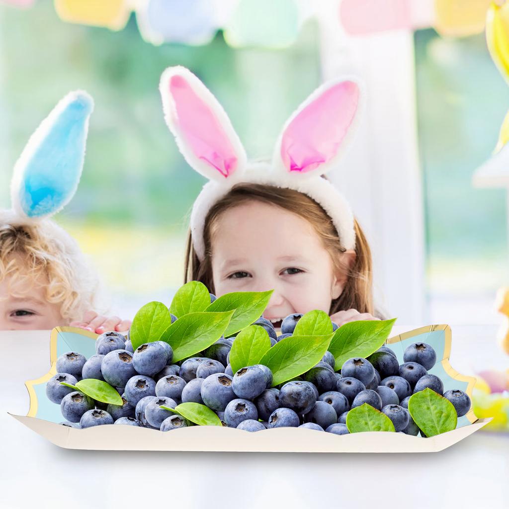 Square Paper Lace Plate Serving Trays for Party Food Fruit Cookie Platters Parties Plates