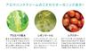 Organic Madonna Aroma Hand Cream Shea Citrus Highly Sensitive Skin 50ml, 30% Butter, Scent, Moisturizing,