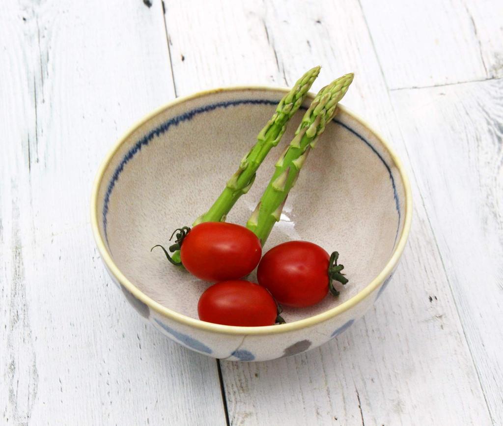 Castle Enterprises Okinawan Grandma's Choice: Yachimun-patterned Tropical Dishware for All Use [Soup Bowls] Set of 10, 13.3cm Diameter X 6.7cm Height