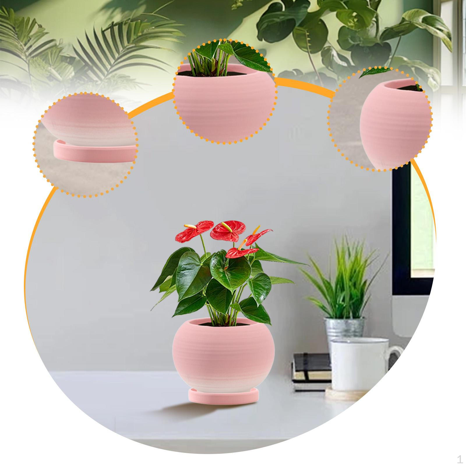 

Керамический цветочный горшок с дренажным отверстием и поддоном, подходит для комнатных и уличных растений Gradient Pink