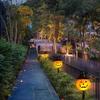 Halloween Solar Pumpkin and Ghost Outdoor Waterproof Garden Lights