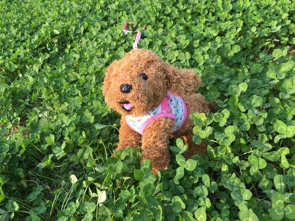 Dog Print Protective Harness Vest