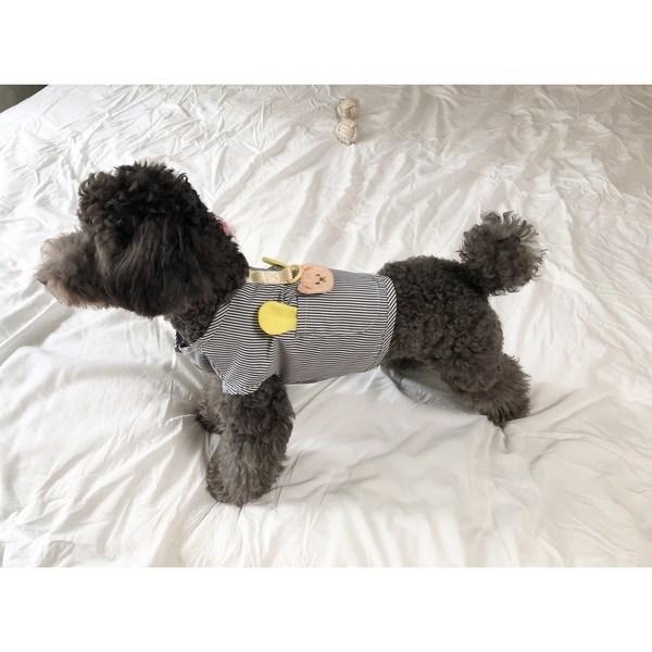 Schmelzender Look Hunde Geschirr Kleidung Frühling Sommer Katze Hund Weste, Schwarzer Streifen, 1 Stück