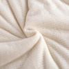 Arctic Velvet Xinjiang Cotton All-Season Quilt
