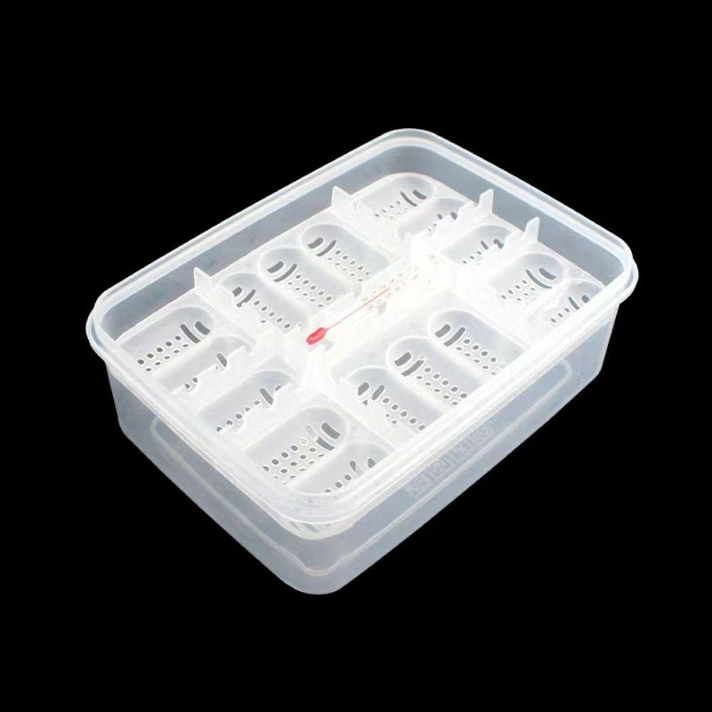 16 Grids Reptile Hatch Box Transparent Reptile Breeding Hatchery Turtles Egg Incubator Tray  Snake