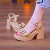 Sandals Women's Summer 2025 New Fashion Wedge Heel Non-slip Roman Shoes Thick Heel Waterproof Table One-button High Heels