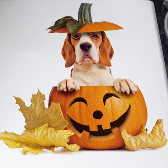 Halloween Pumpkin Toilet Sticker Waterproof Self-adhesive Strong Stickness Vibrant Color Bathroom Wall Sticker Toilet Cover Decor Decal