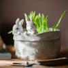 Harz Osterhase Pflanzgefäß Dekorative Kaninchen Blumentöpfe Ornament Niedliches Pflanzgefäß im nordischen Stil für Zuhause, Hof, Rasendekoration