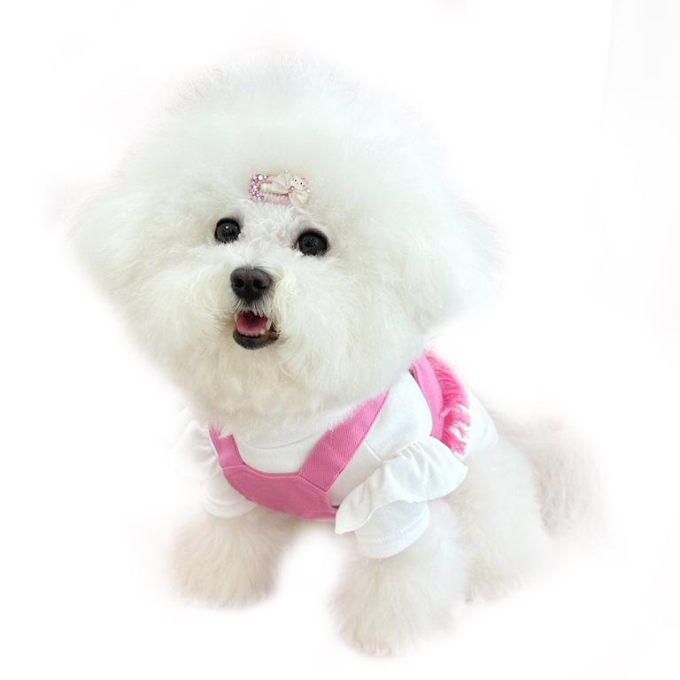 New Autumn Style Fleece Warm Pet Dog Clothes, Teddy Bichon Frise, Small Flying Sleeves, High Neck Base Layer Two-legged Jacket