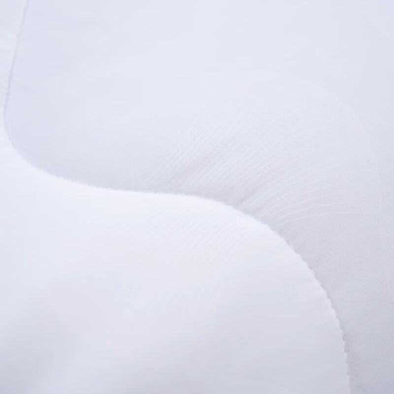 Mercury Home Textiles DH Dursan Antibacterial Four-Season Quilt