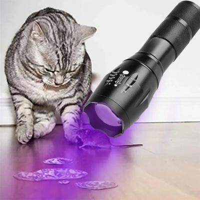 Rechargeable UV Flashlight Dual Light 395nm Ultraviolet WhiteTorch Zoom Torches Detection Lighting Lamp for Pet Stains Hunting