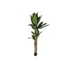 Decorative Plant In Polyethylene - Home ESPRIT - Multicolor - 90x90x290 Cm - Cement Banana - Lightweight