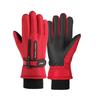 Ski Gloves Plus Velvet Thickened Warm Adult Outdoor Cycling Windproof Waterproof Non Slip Touch Screen Autumn and Winter Gloves