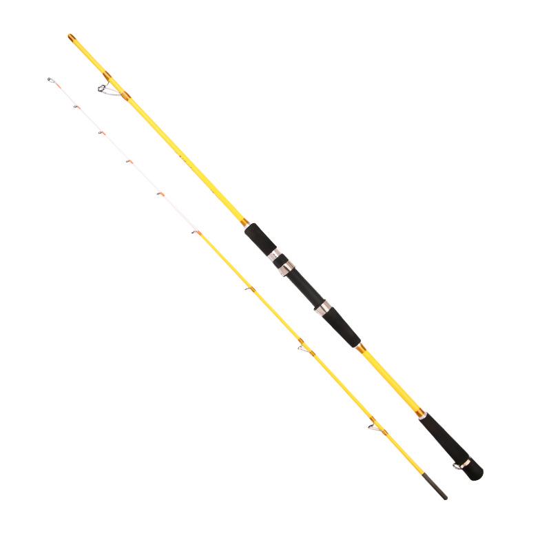 Ginkgo Offshore Small Boat Jigging and Casting Fishing Rod 40#