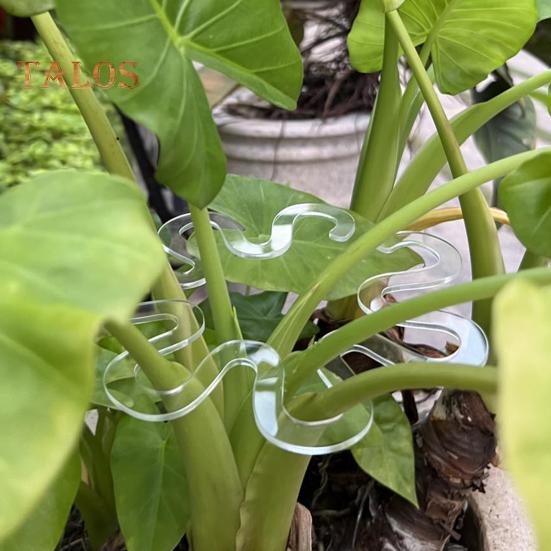 Monstera-Pflanzenstützhalter, wiederverwendbarer Pflanzengreifer in Blumenform, Stielhalter, Monstera-Pflanzenhaltestütze für Pflanzen im Innen- und Außenbereich