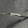 Feeder Hook Fishhook Hook With Line Tied 50pcs Carp