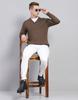 MONTE CARLO Mens Solid Brown V Neck Full Sleeve Pullover
