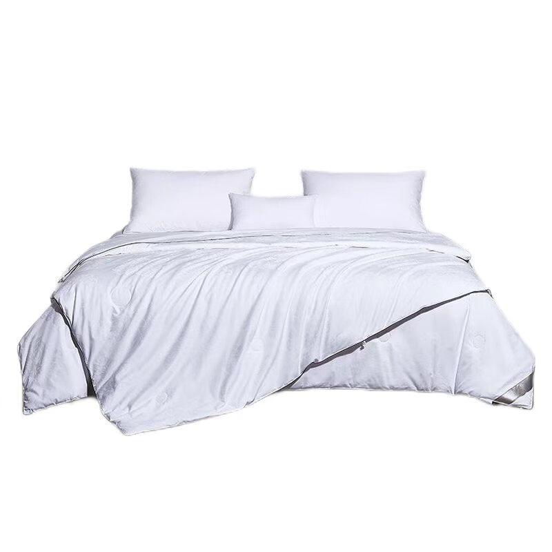 

Yuanyilan All-Season Mulberry Silk Quilt