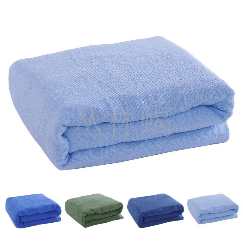 Jungle Scorpion Dormitory Quilt & Blanket