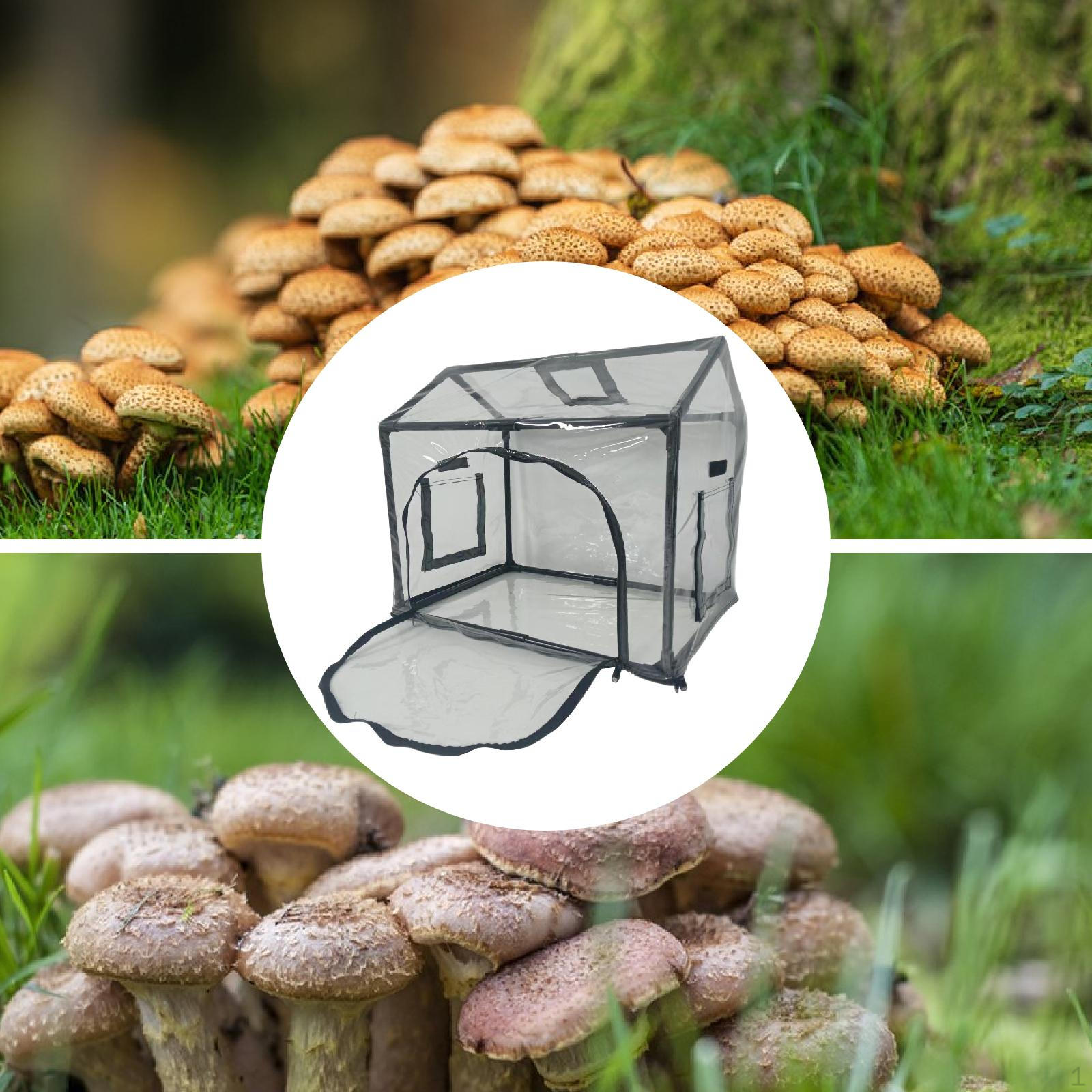 

Палатка для выращивания грибов Still Air Box,Внутренняя теплица,Профессиональная,Прочная,Легкая станция с вытяжкой