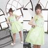 Clearstone Halloween Wonder Fairy Girl Cosplay Kostyme, Grønn, Dame