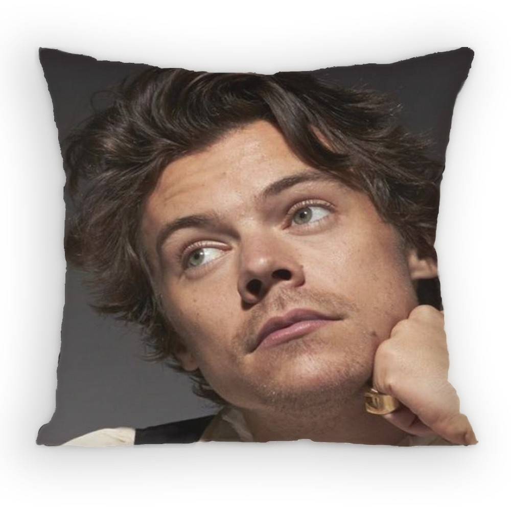 HHaRRyS Singer SStyles Pillow Case Antidustmite Pillowcase Invisible zipper silky short plush Sofa cushion cover