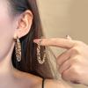 Retro Millennial Hong Kong Style Exaggerated Personality Geometric Leopard Print Earrings Fashion Temperament High Sense Earrings Women