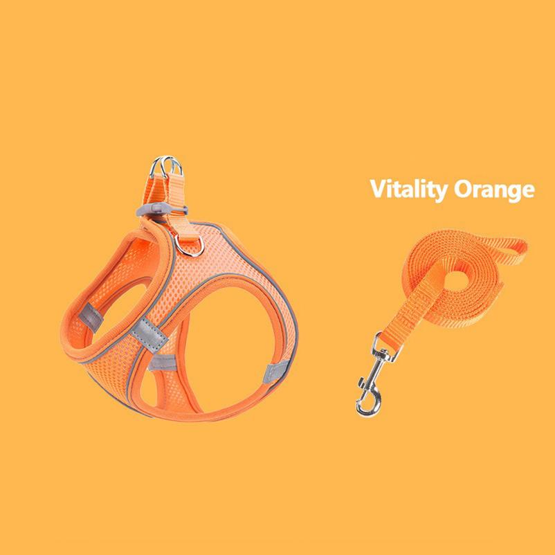 New cat and dog chest back leash pet walking leash color chest strap cat vest type leash set pet supplies