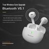 Newmine D8 True Wireless Bluetooth Earbuds