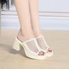 Slippers Women In Summer Thick Heel Waterproof Platform Mesh Breathable Exposed Toe High Heel Soft Sole Ladies Sandals Elegant