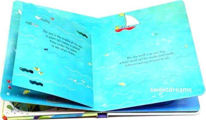 [USED] Usborne Peep Inside the Sea Pop-up Book