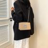Elegant Pu Leather 2024 Spring Summer Lady's Small Handbag With Chic Quilted Texture