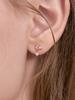 Rosemont 14K Butterfly Earrings Ra26A13T