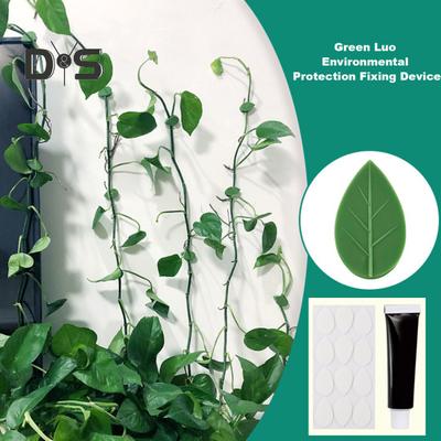 10/30/50/100 Pcs Plant Vine Holder Climbing Wall Fixture Clips with Clear Adhesive Stickers Leaf Shape Plant Fixer Clips for Indoor Outdoor Wall