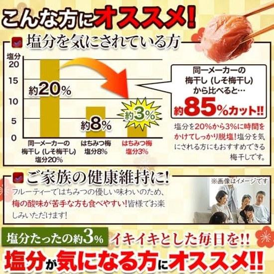 Natural Life Damaged Honey Plum Salt Content Approximately 3 (800g) Kishu Nanko Fruity Mellow Reduced Easy Eat Wakayama Prefecture Produced Thick Ripe