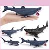 Marine Animal Pvc Model For Kids Educational Toy Shark With Large Mouth And Seaworld Theme