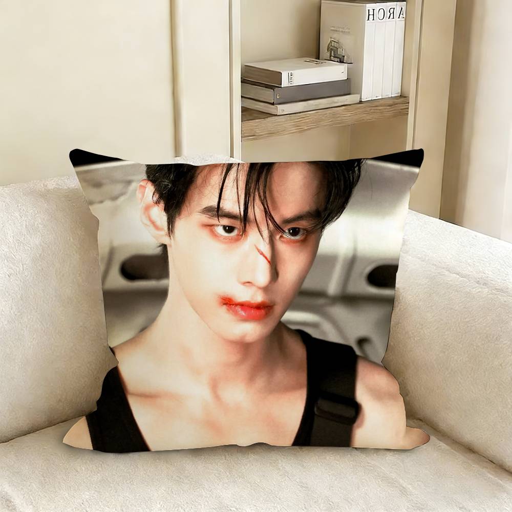 Nick He Yu Jin Chao Various Sizes Square Pillow Case For Car Home Bedchamber Decor