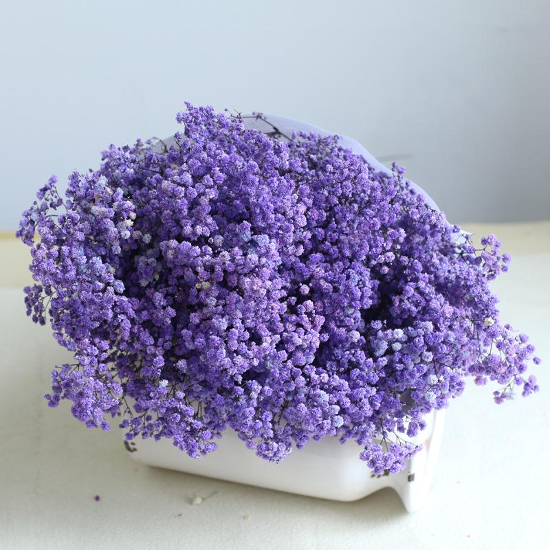 Eternal Gypsophila Bouquet: Color-Absorbing Ilocos Flowers for DIY Floral Arrangements and Wedding Decorations