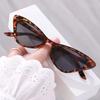 Small Frame Vintage Cat Eye Sunglasses for Women UV400 Protection Retro Sunglasses Eyewear Fashion Trendy Streetwear Accessories